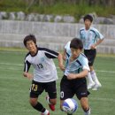 안성중학교 이미지