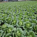 덕분농장 이미지