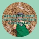 [육아] 홈플러스문화센터 화성동탄점 &amp; 홈플러스 수유실 _오감자연놀이 반짝반짝 똘망이 / 강녕이의 첫...
