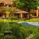 "제주도보다 인기 좋아요"...가족들과 방문하면 좋다는 강원도 힐링 여행지 BEST5 이미지