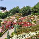 춘의역 (7번 출구) 이미지