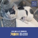 율하시티동물병원 이미지