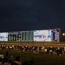 해피빌 | 과천 경마공원 렛츠런파크 무료 입장료 및 어플 사용 꿀팁, 자세한 후기까지!