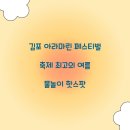 아라환경 | 김포 아라마린 페스티벌 축제 최고의 여름 물놀이 핫스팟