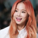 솔지카페
