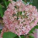 목포산업 이미지