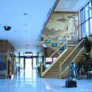 강원도산림박물관 이미지