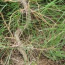 종대농장 이미지