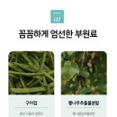 뉴스킨 혈당엣지 다이어트 내돈내산 후기 + 가격 프로모션