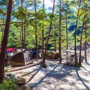 숲속캠핑장 이미지