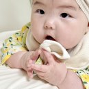 윤*용 - 안양시 동안구 달안로 110 | 지니윤 아기빕 후기｜테리턱받이 감성과 오가닉턱받이 장점까지