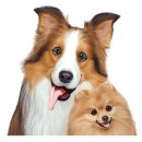 퍼스트독앤캣 이미지