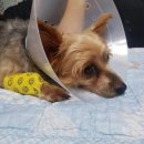 현대종합동물병원 이미지