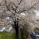 미사강남공인중개사사무소 이미지