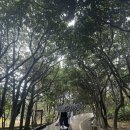 산책하는날 | 대만 예스진지 버스투어 | 착한투어 내돈내산 솔직후기 지우펀 풍등 비오는 날