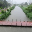 온천천일대7 이미지