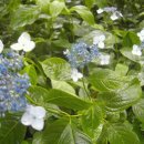 남양목장 2 이미지