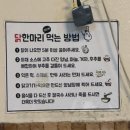 시골집닭한마리