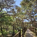 서포리웰빙산책로 (덕적도) 네이버블로그