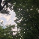 서울 중구 | 덕수궁 바로 옆 리에제와플 (구 림벅와플) n번째 가는 솔직후기