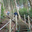 남원읍-33 이미지