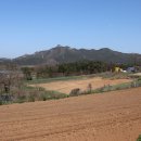 도일목장 이미지