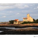 신창싱계물 이미지