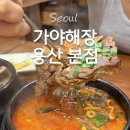 가야 3 | 숙대입구역맛집 가야해장 용산밥집 서울3대해장국 후기