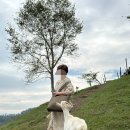 미인목장 이미지