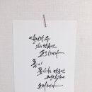 붓펜캘리그라피 이미지