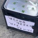 로또 후기| 완전 럭키비키잖아~🍀