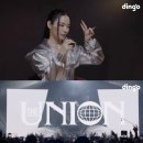 마이딩고 이미지