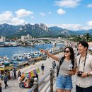 동화소공원 | 속초 봄 여행 2026: 벚꽃 명소 &amp; 2박3일 코스 총정리