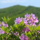 강동로5-26 이미지