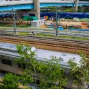 동의대역 6번 출구 이미지