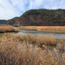 옥 태양광발전소 이미지