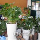 상곡초등학교 이미지