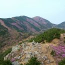 천주산 입구 이미지