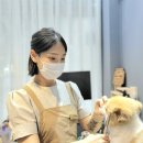 바니이발소 이미지