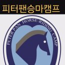 피터팬승마캠프 이미지