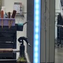 모가파출소 | 동성로 미용실 추천 이쁘다헤어 동성로점 클리닉 후기