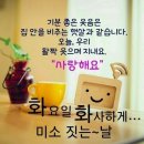 세심화친 이미지