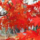 전신전화국 이미지