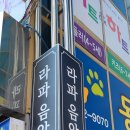 라파음악학원