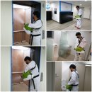 용인대 부부태권도장 이미지