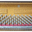 단원어린이집 이미지