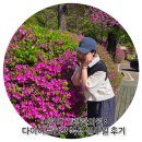 대중한의원 | 논현역 그램한의원 : 다이어트한약 복용 일주일 후기