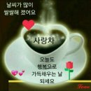 가림이 힐링 이미지