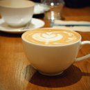 도피오DOPPIO 티스토리