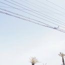 제주도횟집 이미지